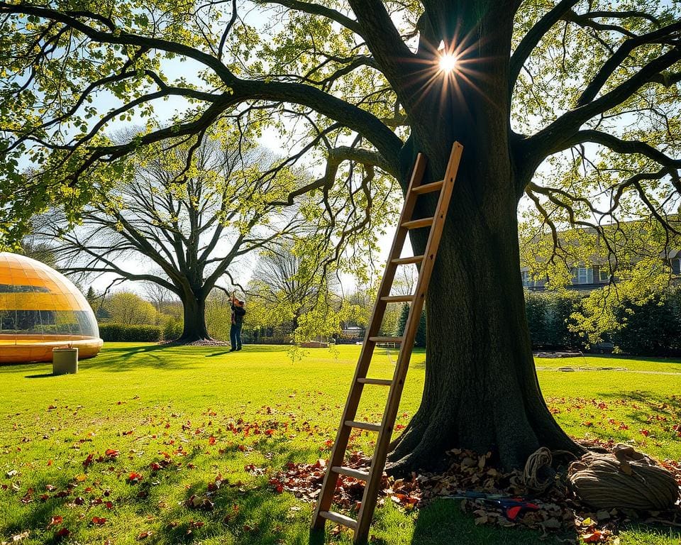 Alles wat u moet weten over bomen kappen en snoeien