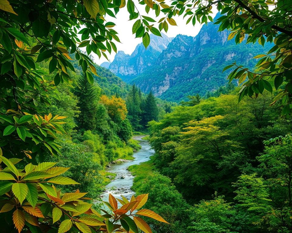 Welke kleuren versterken natuurlijke structuren?