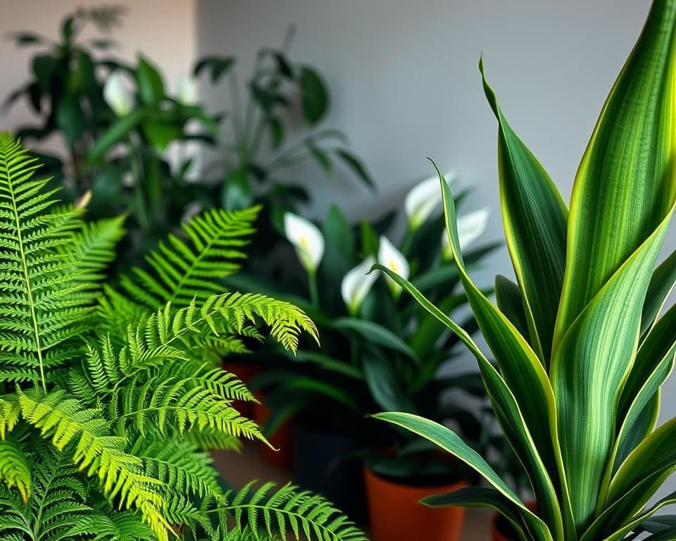 planten zonder zonlicht